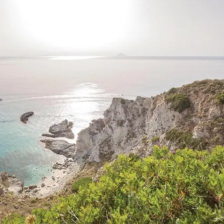 Anna Capo Vaticano